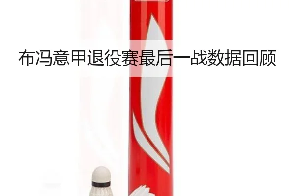 布冯意甲退役赛最后一战数据回顾